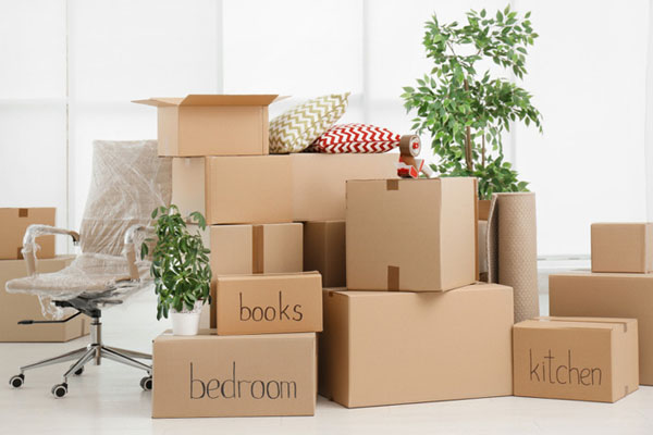 packing and moving services